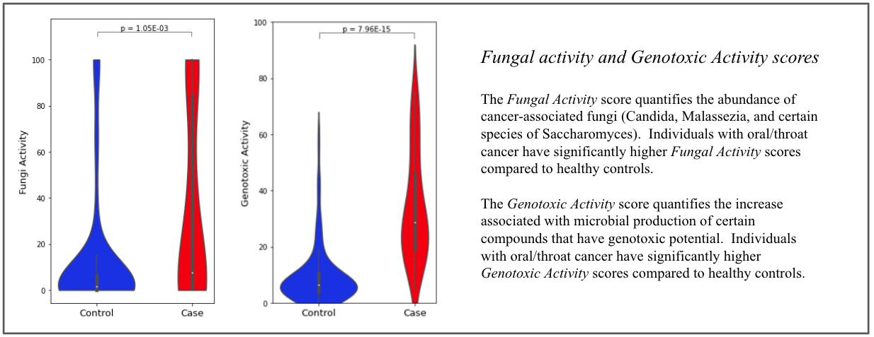 Fungal activity and genotoxic activity scores