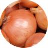 Viome - Onions Icon