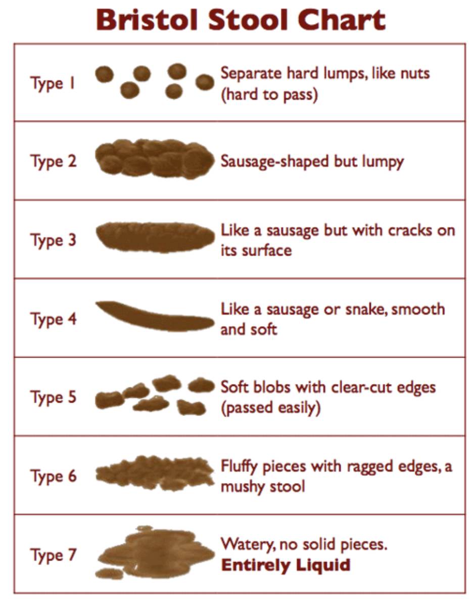 bristol stool chart